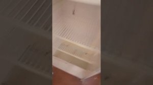 холодильник полюс 10