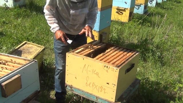 500+ Постановка второго корпуса. смотреть онлайн