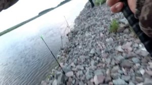 ФИДЕР (ЛОВЛЯ КАНАЛЬНОГО СОМА) г. УДОМЛЯ