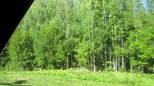 Сказочная дорога - поёт Светлана Русская