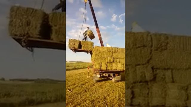 Газ66 шишига  манипулятор