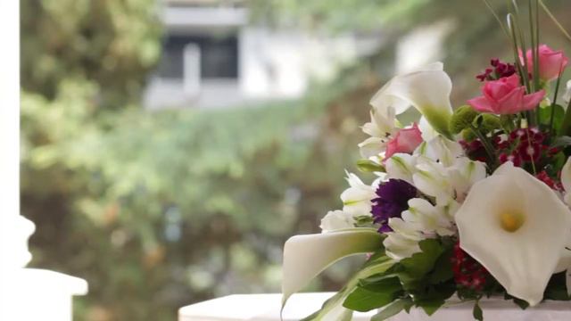 Свадьба в Ялте Женя и Аня, 1 июня 2012 смотреть онлайн