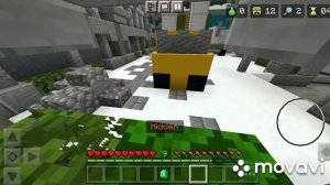 Прятки блоками на сервере The Hive