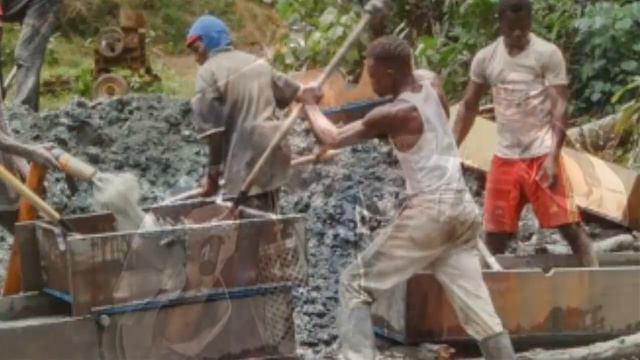 Plant That Only Grows In Diamond Rich Soil Discovered | Science News смотреть онлайн