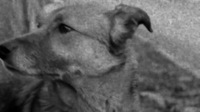 Не бойся сделать шаг навстречу- его оценят! смотреть онлайн