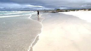 Galapagos Islands---Tortuga Bay