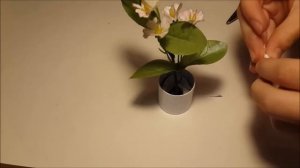 [МК] Как сделать комнатные цветы для кукол?