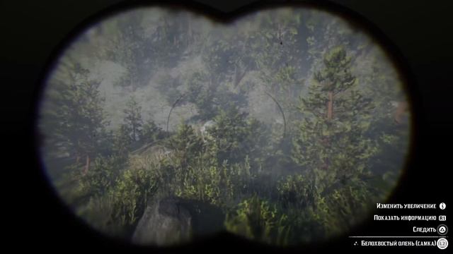 Черная (тигровая) арабская лошадь в Red Dead Redemption 2. Где найти?