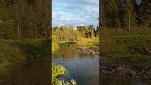 Красота в д. Боталы, Смоленской обл.