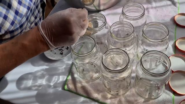 СЕМЕЙНЫЙ РЕЦЕПТ ТУШЁНКИ, без всяких заморочек, ОТ ДЯДИ БАХАДУРА смотреть онлайн