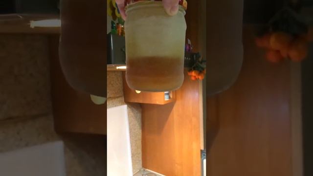 Тест масла Wolf Vital Tech 5w30 D1 dexos 1 gen 2. -27C смотреть онлайн