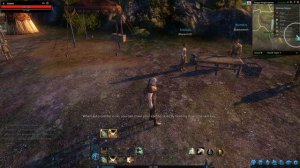 How To Show Collectibles On Minimap In Riders of Icarus