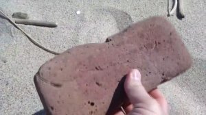 Поиск кладов на пляже с Minelab X-Terra 705