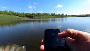 Солнечное утро с DFR-511