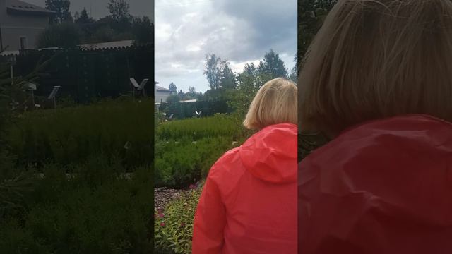 Белоостровский питомник растений