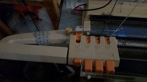 Четырехцветник бразер