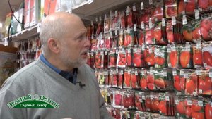 Томат Розовый мед, проверенный уникальный сорт сибирской селекции, суперсладский, мясистый, крпный