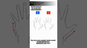 【ibisPaint】How to draw hands 【Lecture】