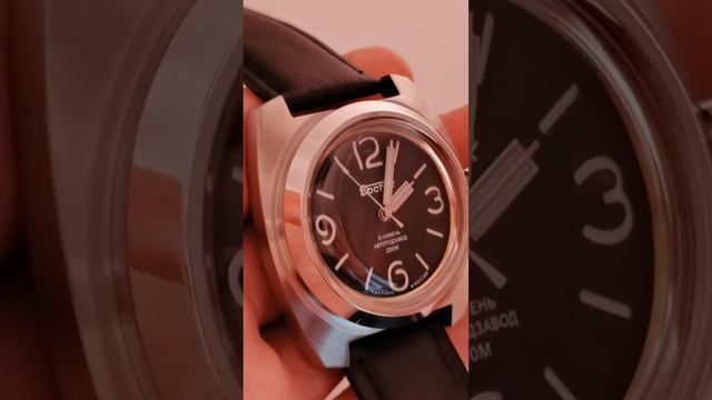 Амфибия 170548