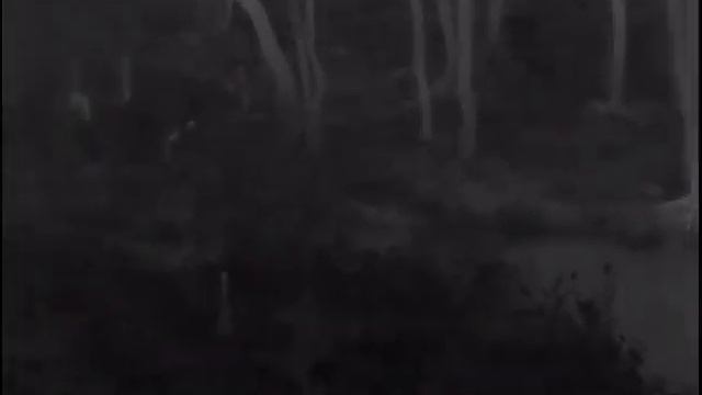 Pulsar Helion XP50 смотреть онлайн