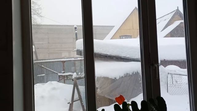 Вчера был"Ваня", сегодня пришла" Ольга", это я про циклоны! смотреть онлайн