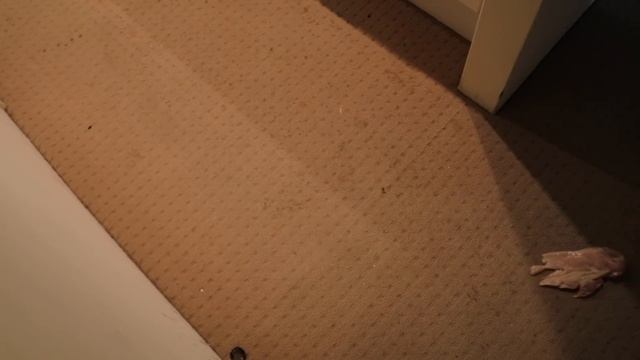 How To Make McDonald's Chicken McNuggets смотреть онлайн