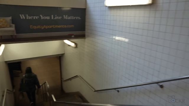 Marshall Mode II Real-World Test (Audio, Battery Test, & Vlog) смотреть онлайн