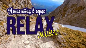 ? MUSIC — Звуки природы: пение птиц в горах. Для спокойного сна, снятия стресса и негативных эмо