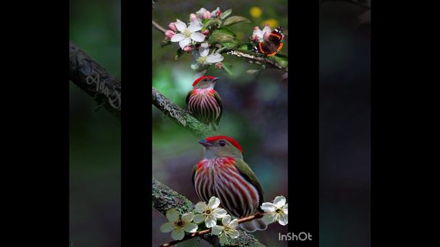 Как Аллах простит грешника в день суда смотреть онлайн