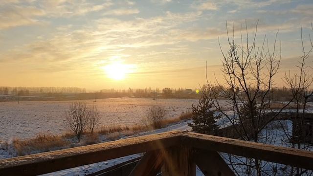 Зимний стих #стихпрозиму #красивыестихи #современнаяпоэзия