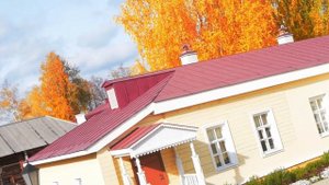 Наталья Лебедева (домра) и  Ирина Лупская (фортепиано) - П. Чайковский Мелодия