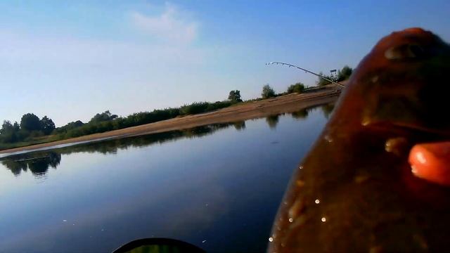 Припять. Новые места. Лещ как по заказу. смотреть онлайн