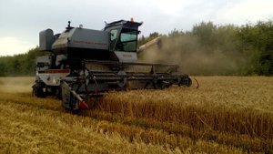 Нива эффект. 4 августа 2022 г.