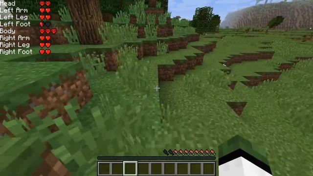 Minecraft 1.12.2 MOD NUEVA FORMA DE JUGAR A MINECRAFT! First Aid Mod Español! смотреть онлайн