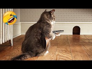 Смешные животные 2024 - Самое смешное видео о кошках и собаках
