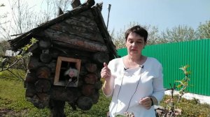 Что будет если не платить за жкх