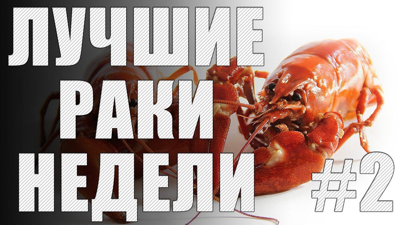 ЛРН выпуск №2 [Лучшие Раки Недели]