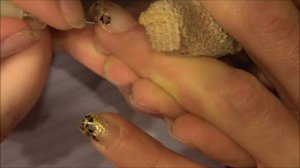 ☆★Acrylic nail tutorial - Leopard/cheetah print★☆