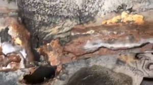 Как ржавеют машины 2000х годов. Nissan Teana J31, 2004.