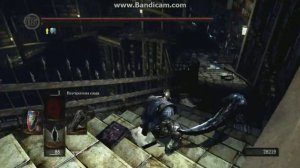 Dark Souls душа хранительницы огня в архивах герцога