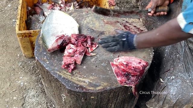 Tasty Thookinasi Paarai Fish Cutting & Chopping in Kasimedu Fish Market смотреть онлайн