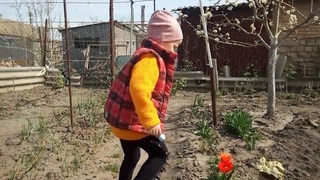 Чем можно заняться на огороде весной