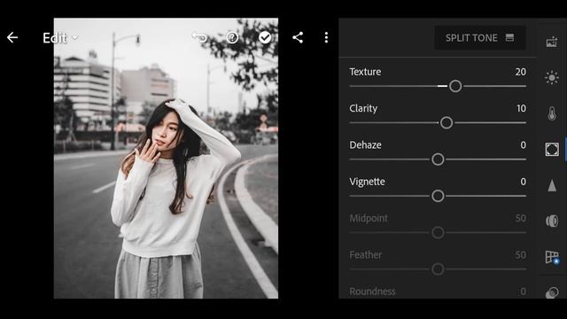 Black Tones (Moody) Presets - Lightroom Mobile Presets | Black Moody | Black Tones Filters смотреть онлайн