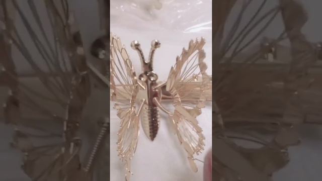 Jolina Magdangal's Butterfly Hair Clips in 90's