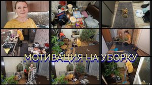 Разбираю БАРДАК ✅Постелили линолеум ✅Обзор покупок...