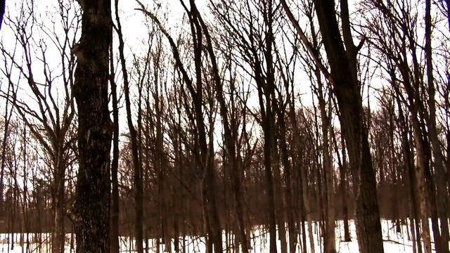 The Raven (A Twist on the Classic Tale) смотреть онлайн