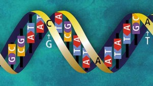 аминокислоты. химия клетки. подготовка к егэ по биологии.