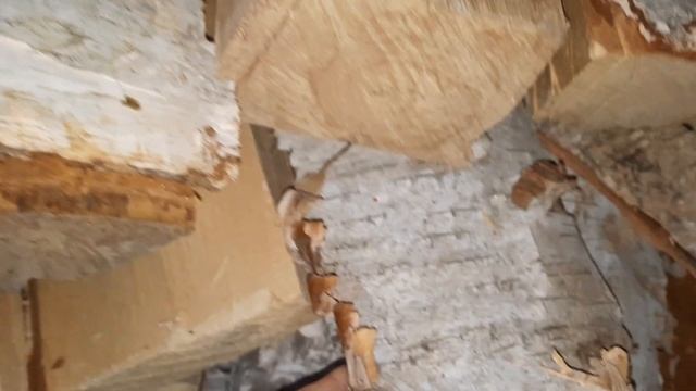 Березовые дрова смотреть онлайн