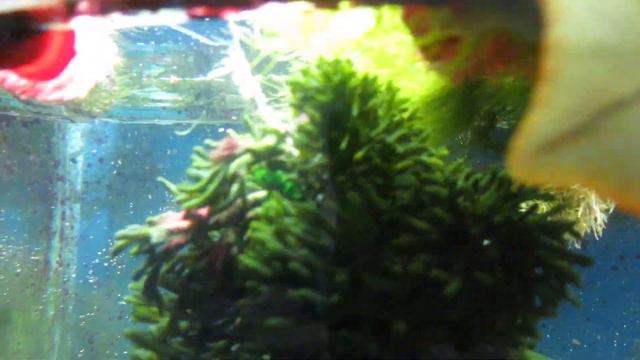 MVI 0278 смотреть онлайн