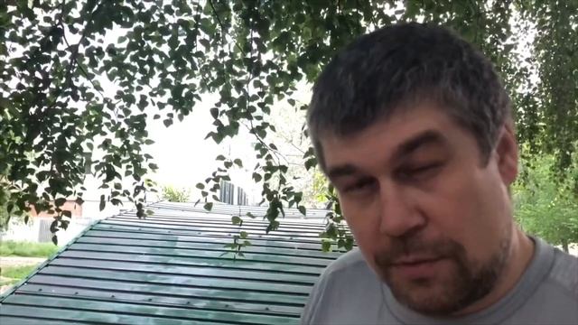 Что внутри ракушки смотреть онлайн